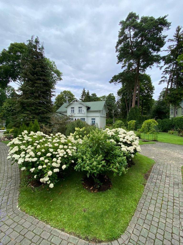 Jurmala Vacation House Jūrkalne Exterior foto